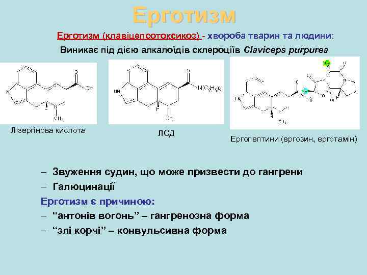 Ерготизм (клавіцепсотоксикоз) - хвороба тварин та людини: Виникає під дією алкалоїдів склероціїв Claviceps purpurea