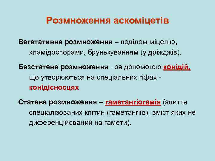 Розмноження аскоміцетів Вегетативне розмноження – поділом міцелію, хламідоспорами, брунькуванням (у дріжджів). Безстатеве розмноження –