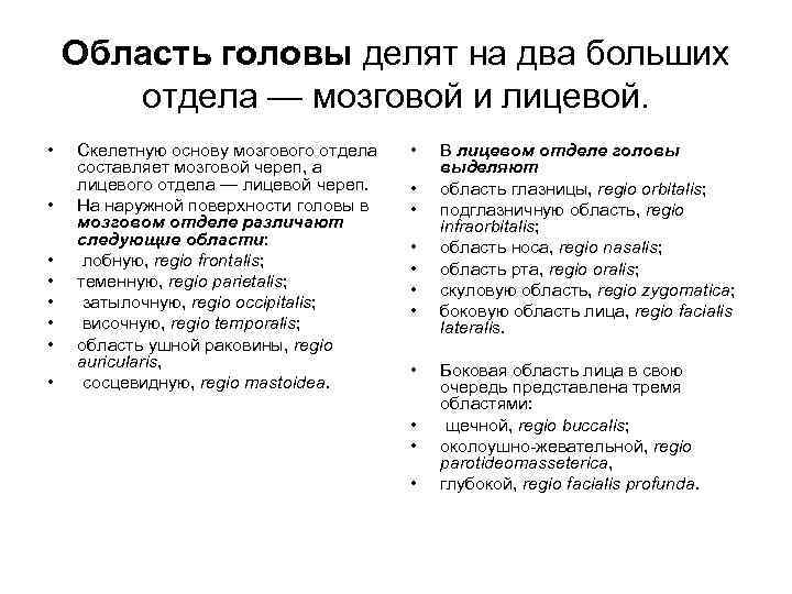 Область головы делят на два больших отдела — мозговой и лицевой. • • Скелетную