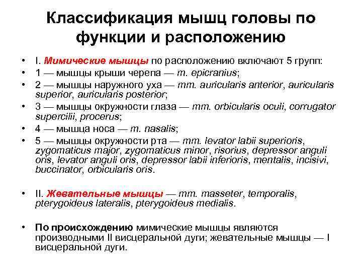 Классификация мышц головы по функции и расположению • I. Мимические мышцы по расположению включают