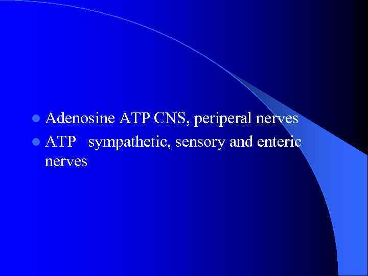 l Adenosine ATP CNS, periperal nerves l ATP sympathetic, sensory and enteric nerves 