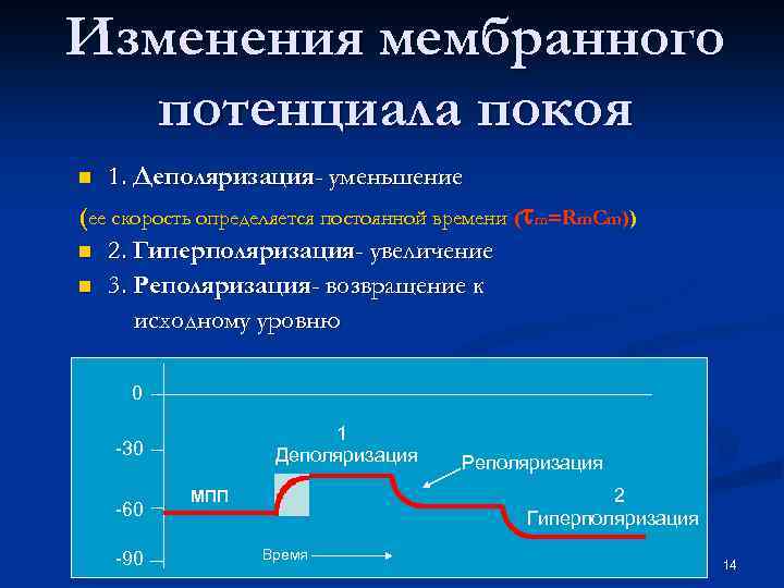 Изменения мембранного потенциала покоя n 1. Деполяризация- уменьшение (ее скорость определяется постоянной времени (tm=Rm.