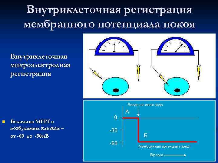 Внутриклеточная регистрация мембранного потенциала покоя Б А Внутриклеточная микроэлектродная регистрация Введение электрода n Величина