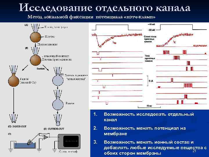 Исследование отдельного канала Метод локальной фиксации потенциала «пэтч-кламп» 1. Возможность исследовать отдельный канал 2.