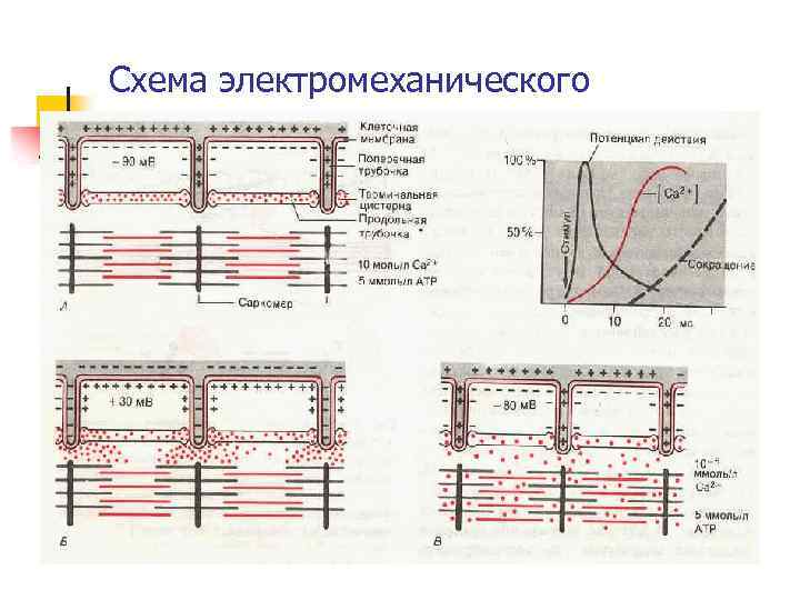 Схема электромеханического сопряжения 