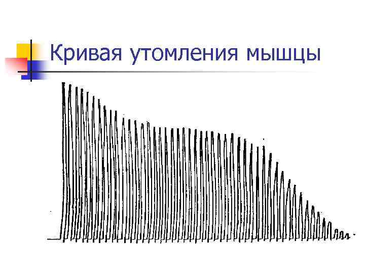 Кривая утомления мышцы 