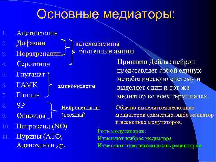 Основные медиаторы: Ацетилхолин 2. Дофамин катехоламины биогенные амины 3. Норадреналин Принцип Дейла: нейрон 4.