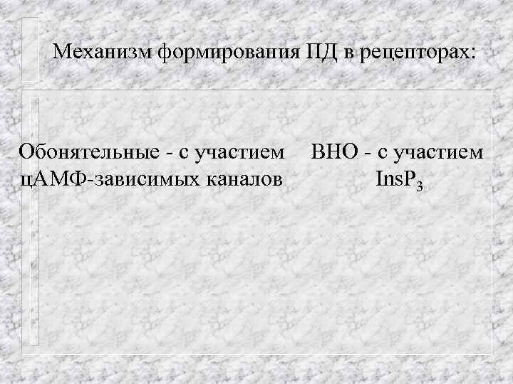 Механизм формирования ПД в рецепторах: Обонятельные - с участием ц. АМФ-зависимых каналов ВНО -