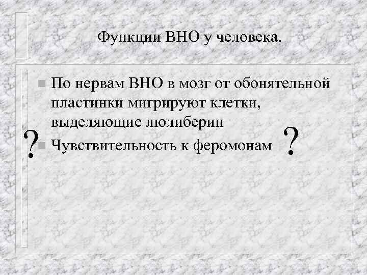 Функции ВНО у человека. По нервам ВНО в мозг от обонятельной пластинки мигрируют клетки,