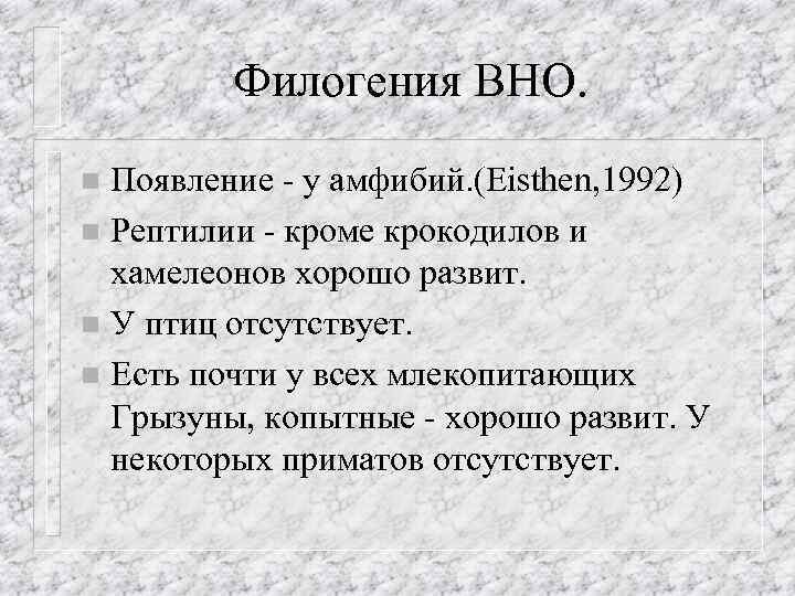 Филогения ВНО. Появление - у амфибий. (Eisthen, 1992) n Рептилии - кроме крокодилов и