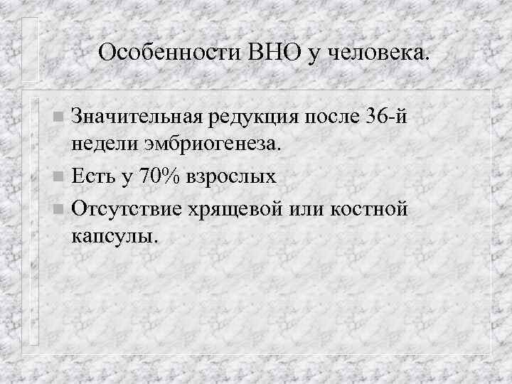 Особенности ВНО у человека. Значительная редукция после 36 -й недели эмбриогенеза. n Есть у