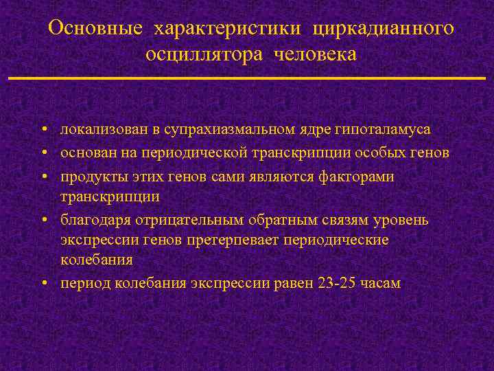 Основные характеристики циркадианного осциллятора человека • локализован в супрахиазмальном ядре гипоталамуса • основан на