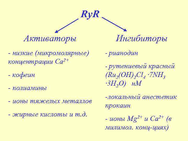 Ry. R Активаторы Ингибиторы - низкие (микромолярные) концентрации Са 2+ - рианодин - кофеин