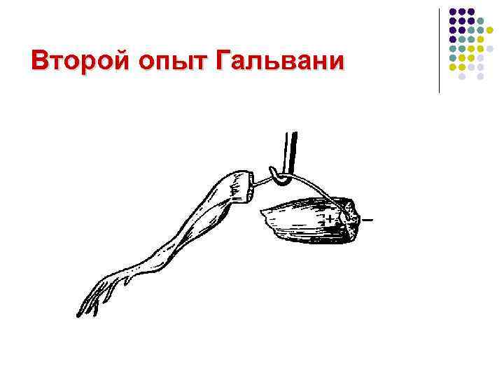 Второй опыт Гальвани 