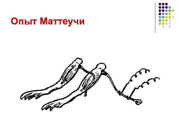 Опыт Маттеучи 