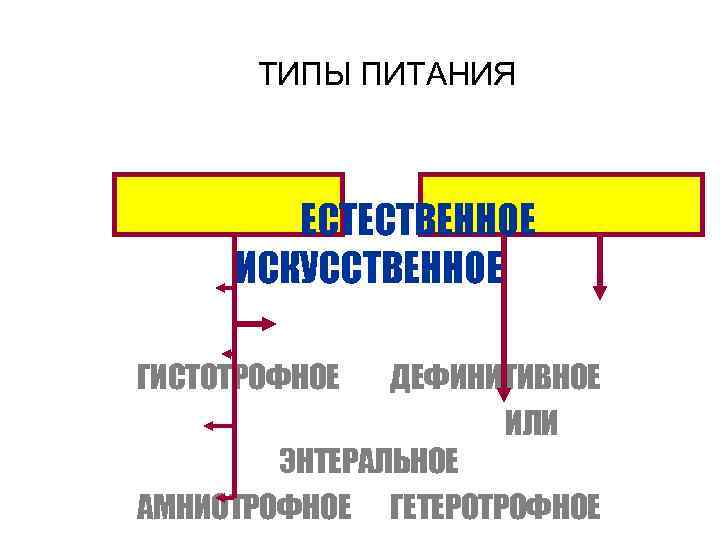 ТИПЫ ПИТАНИЯ ЕСТЕСТВЕННОЕ ИСКУССТВЕННОЕ ГИСТОТРОФНОЕ ДЕФИНИТИВНОЕ ИЛИ ЭНТЕРАЛЬНОЕ АМНИОТРОФНОЕ ГЕТЕРОТРОФНОЕ 