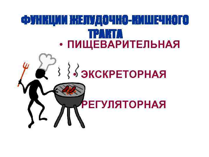 ФУНКЦИИ ЖЕЛУДОЧНО-КИШЕЧНОГО ТРАКТА • ПИЩЕВАРИТЕЛЬНАЯ • ЭКСКРЕТОРНАЯ • РЕГУЛЯТОРНАЯ 