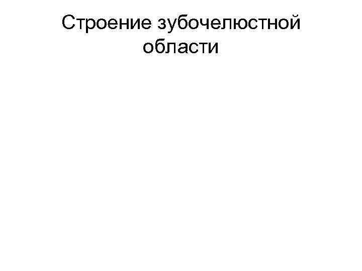 Строение зубочелюстной области 