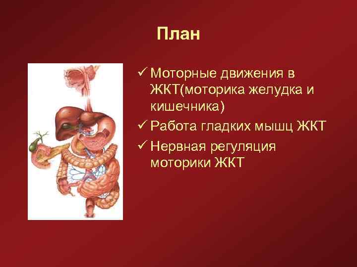 План ü Моторные движения в ЖКТ(моторика желудка и кишечника) ü Работа гладких мышц ЖКТ