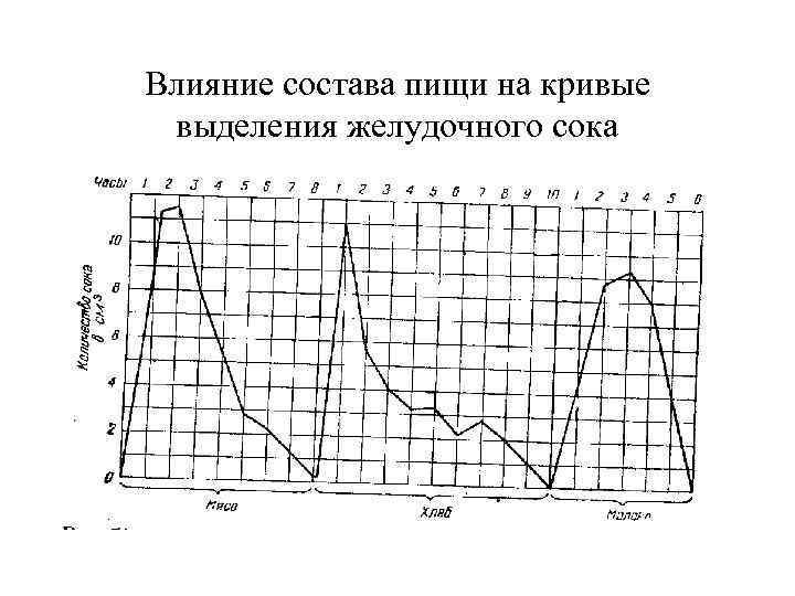 Влияние состава пищи на кривые выделения желудочного сока 