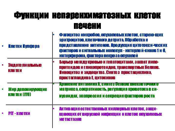 Функции непаренхиматозных клеток печени • • Клетки Купфера • Эндотелиальные клетки • • Жир