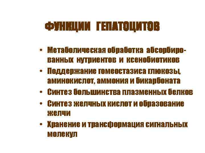 ФУНКЦИИ ГЕПАТОЦИТОВ • Метаболическая обработка абсорбированных нутриентов и ксенобиотиков • Поддержание гомеостазиса глюкозы, аминокислот,