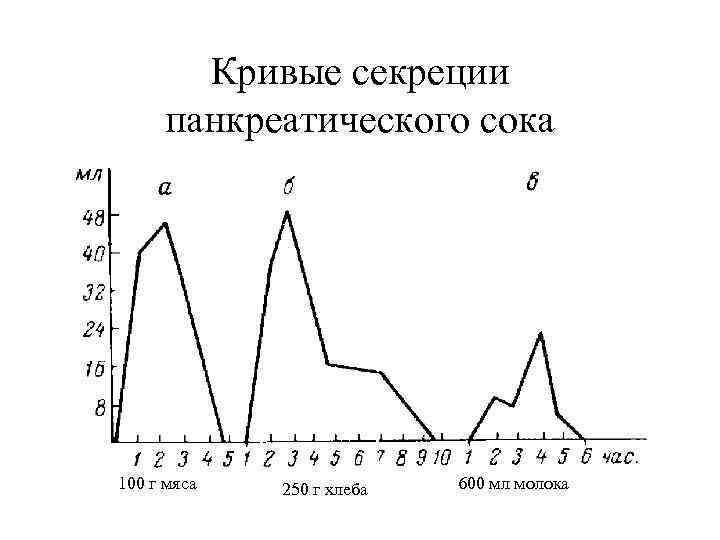 Кривые секреции панкреатического сока 100 г мяса 250 г хлеба 600 мл молока 