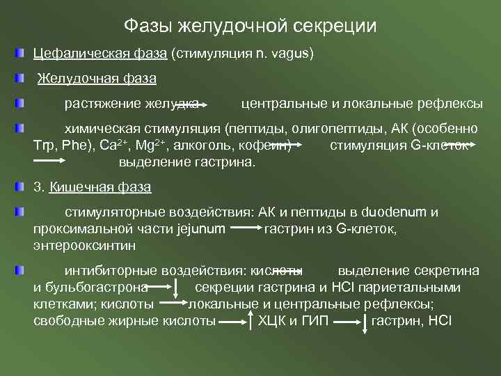 Фазы желудочной секреции Цефалическая фаза (стимуляция n. vagus) Желудочная фаза растяжение желудка центральные и