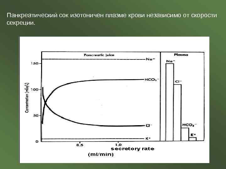 Панкреатический сок изотоничен плазме крови независимо от скорости секреции. 