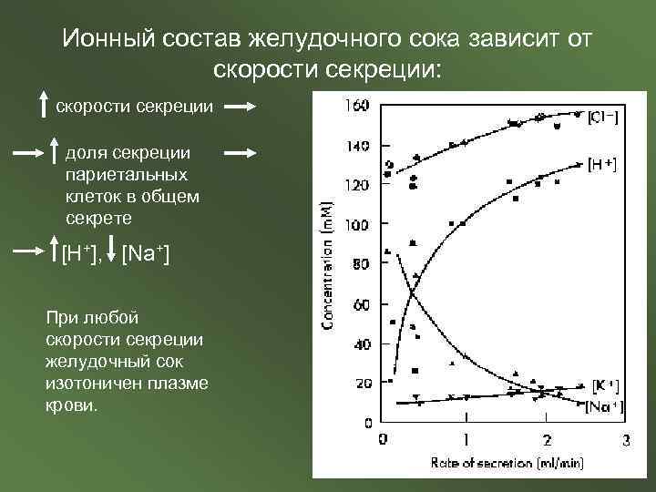 Ионный состав желудочного сока зависит от скорости секреции: скорости секреции доля секреции париетальных клеток