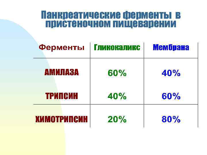 Панкреатические ферменты в пристеночном пищеварении 