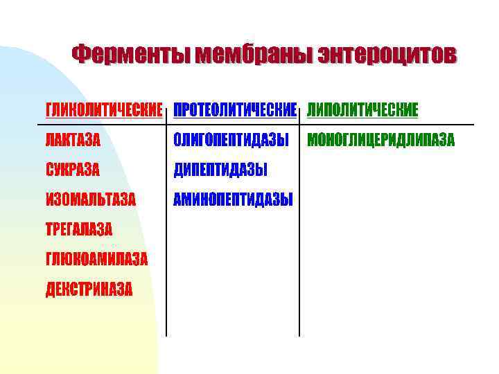 Ферменты мембраны энтероцитов 