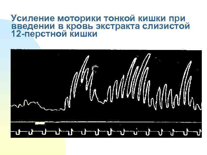 Усиление моторики тонкой кишки при введении в кровь экстракта слизистой 12 -перстной кишки 