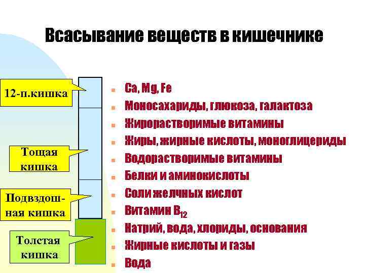 Всасывание веществ в кишечнике 12 -п. кишка n n n Тощая кишка n n