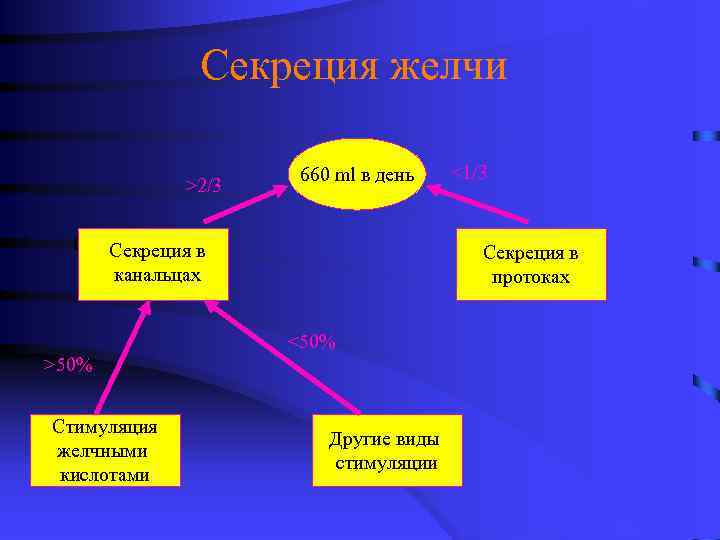 Секреция желчи >2/3 660 ml в день Секреция в в Секреция канальцах Секреция в