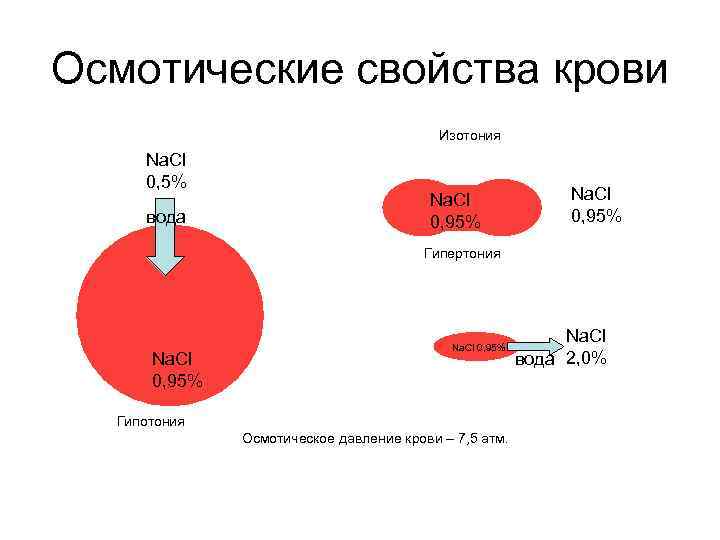 Осмотические свойства крови Изотония Na. Cl 0, 5% вода Na. Cl 0, 95% Гипертония