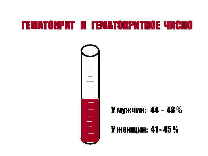 ГЕМАТОКРИТ И ГЕМАТОКРИТНОЕ ЧИСЛО У мужчин: 44 - 48 % У женщин: 41 -