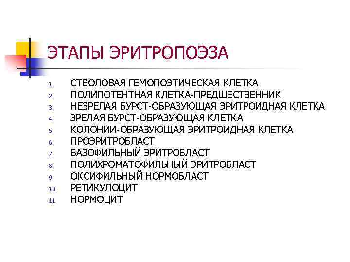 ЭТАПЫ ЭРИТРОПОЭЗА 1. 2. 3. 4. 5. 6. 7. 8. 9. 10. 11. СТВОЛОВАЯ