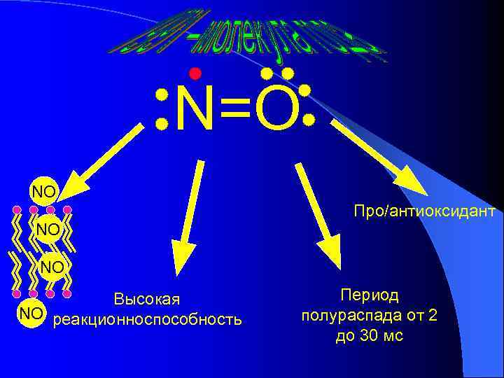 N=O NO Про/антиоксидант NO NO Высокая NO реакционноспособность Период полураспада от 2 до 30