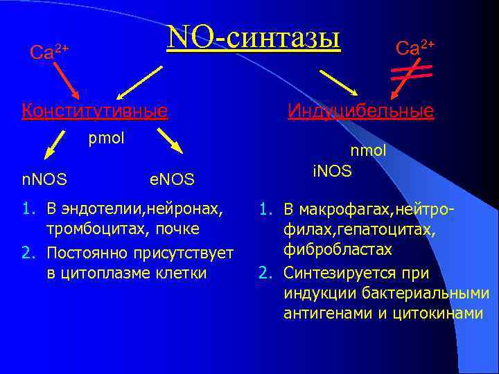 NO-синтазы Ca 2+ Конститутивные pmol n. NOS e. NOS 1. В эндотелии, нейронах, тромбоцитах,