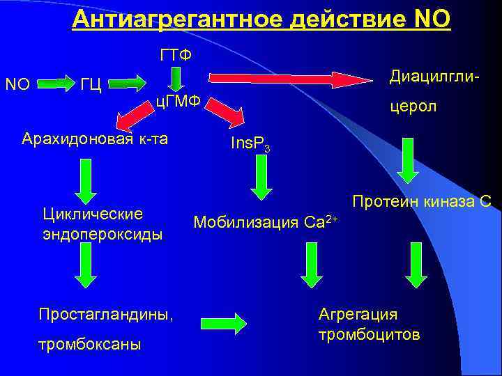 Антиагрегантное действие NO ГТФ NO ГЦ Диацилглиц. ГМФ Арахидоновая к-та Циклические эндопероксиды Простагландины, тромбоксаны