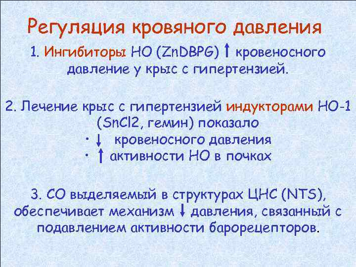 Регуляция кровяного давления 1. Ингибиторы НО (Zn. DBPG) кровеносного давление у крыс с гипертензией.