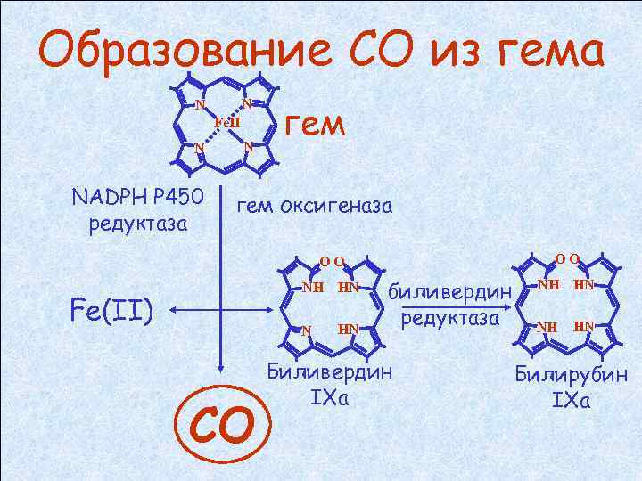 Образование СО из гема N N Fe. II N NADPH P 450 редуктаза N