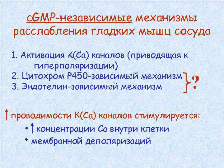 с. GMP-независимые механизмы расслабления гладких мышц сосуда 1. Активация K(Ca) каналов (приводящая к гиперполяризации)