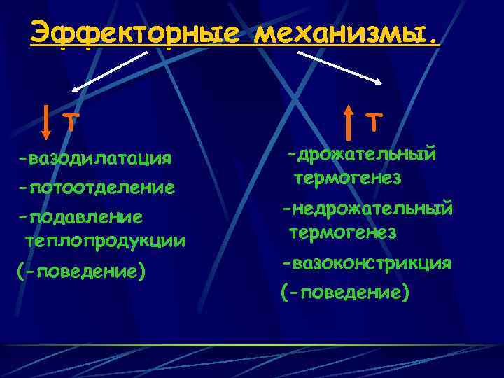 Эффекторные механизмы. Т -вазодилатация -потоотделение -подавление теплопродукции (-поведение) Т -дрожательный термогенез -недрожательный термогенез -вазоконстрикция