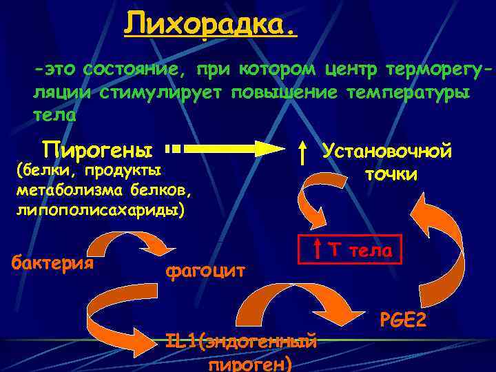 Лихорадка. -это состояние, при котором центр терморегуляции стимулирует повышение температуры тела Пирогены (белки, продукты