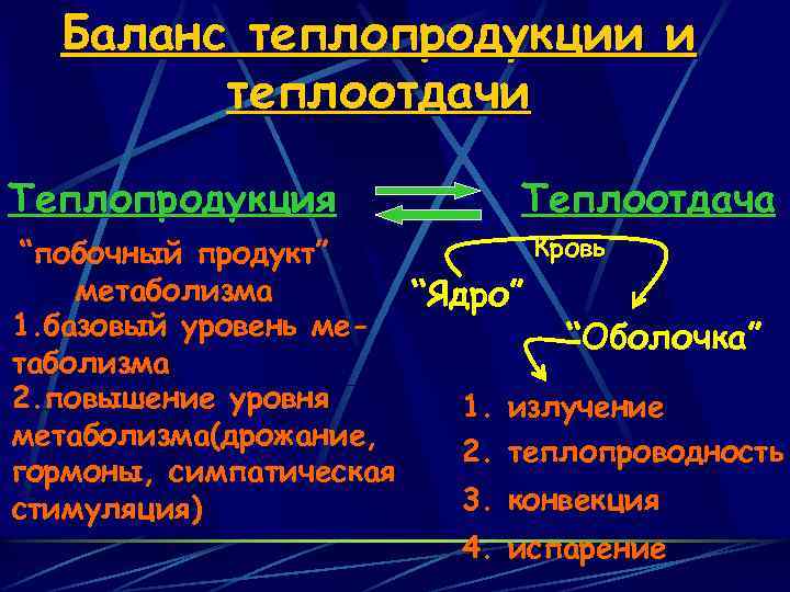 Баланс теплопродукции и теплоотдачи Теплопродукция Теплоотдача Кровь “побочный продукт” метаболизма “Ядро” 1. базовый уровень