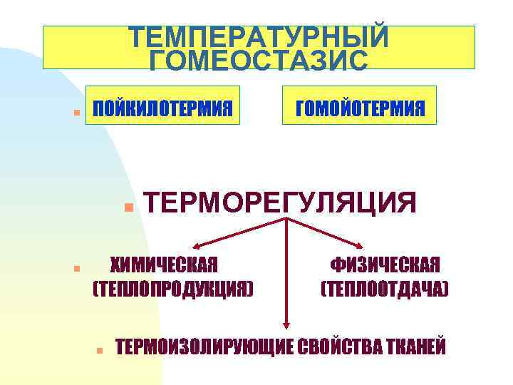 ТЕМПЕРАТУРНЫЙ ГОМЕОСТАЗИС n ПОЙКИЛОТЕРМИЯ n n ТЕРМОРЕГУЛЯЦИЯ ХИМИЧЕСКАЯ (ТЕПЛОПРОДУКЦИЯ) n ГОМОЙОТЕРМИЯ ФИЗИЧЕСКАЯ (ТЕПЛООТДАЧА) ТЕРМОИЗОЛИРУЮЩИЕ