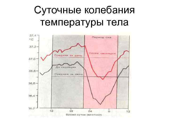 Суточные колебания температуры тела 