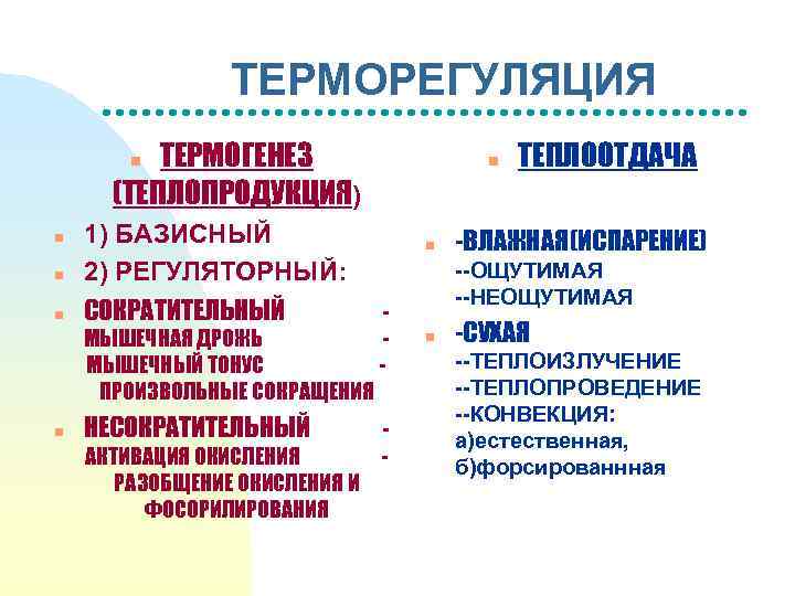 ТЕРМОРЕГУЛЯЦИЯ ТЕРМОГЕНЕЗ (ТЕПЛОПРОДУКЦИЯ) n n 1) БАЗИСНЫЙ 2) РЕГУЛЯТОРНЫЙ: СОКРАТИТЕЛЬНЫЙ МЫШЕЧНАЯ ДРОЖЬ МЫШЕЧНЫЙ ТОНУС